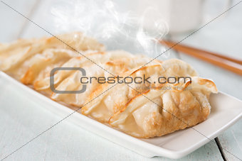 Asian dish pan fried dumplings