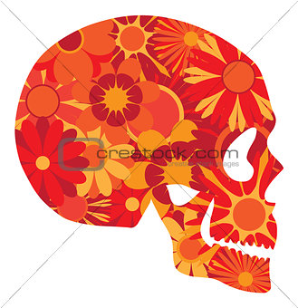 Mexican Skull Art Portrait Illustration