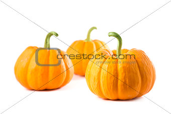 Small decorative pumpkins 