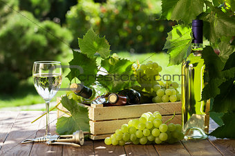 Wine and grapes on garden table