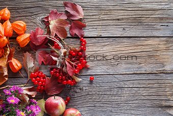Fall harvesting viburnum on rustic wooden table
