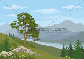 Mountain landscape with tree