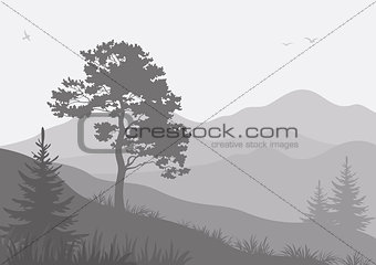 Mountain landscape with trees and birds