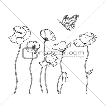 Hand Drawn Poppy Flowers