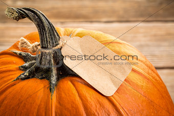 pumpkin with price tag