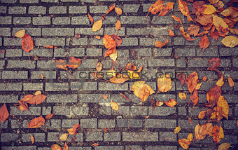 texture with paving stones and yellow leaves