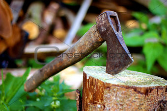 Old ax stuck in a tree stump