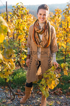 Portrait of woman winegrower standing in autumn grape field