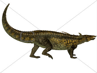 Desmatosuchus Profile