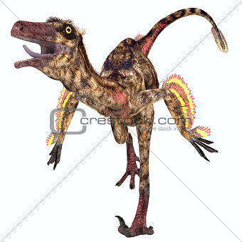 Troodon Reptile