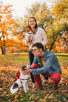 Happy couple walking in autumn park and playing with dogs