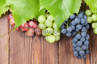 Bunch of grapes on wooden background