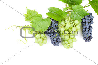 Bunch of red and white grapes