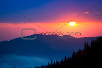 Firtrees in mountains on sunrise background