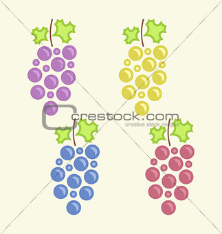 Set Colorful Bunches of Grape