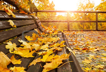 Autumnal landscape with wooden bench