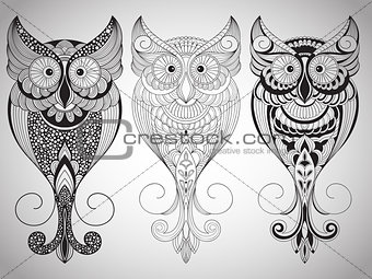 Vector Owls