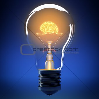 Bulb light brain