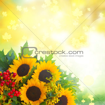 Sunflowers with green leaves