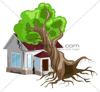 House destroyed. Tree fell on house. Cracks in walls of home. Property insurance. 