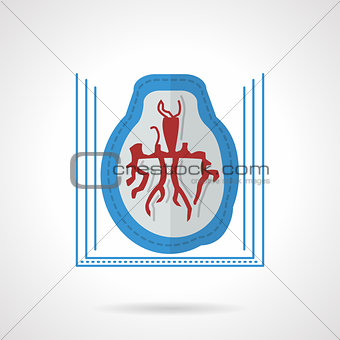 Ct image of brain flat color vector icon