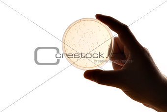 hand with Petri dish