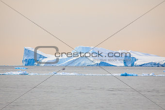 North Greenland icebergs