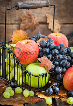 Fresh ripe autumn apples and grapes