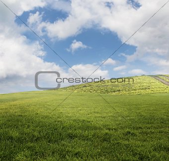 Field landscape