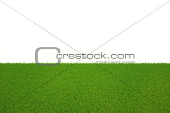 Large flat meadow of green grass without the sky