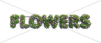 Symbols Flowers made of green grass