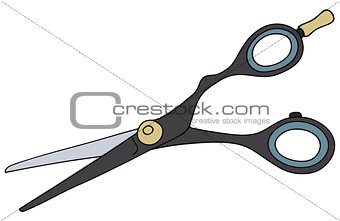 Hairdressers scissors