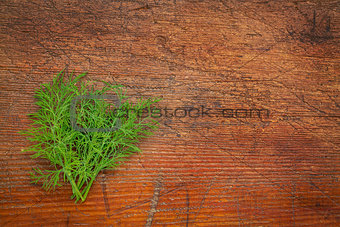 fresh green dill herb on rustic wood