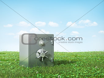 Metal safe on the grass. Safety concept.