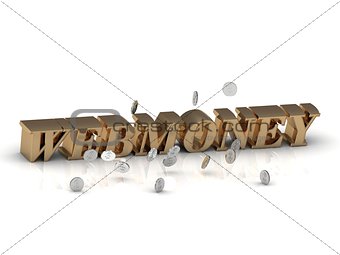 WEBMONEY - inscription of gold letters on white 