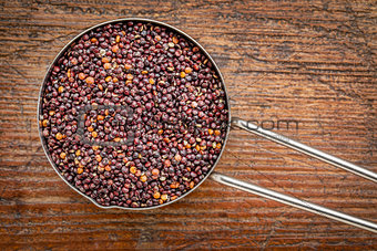 scoop of black quinoa grain