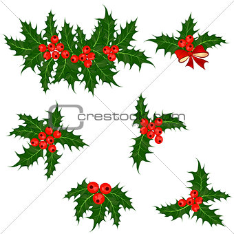 Holly berries set. Christmas symbol vector illustration