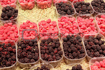 ripe blackberry and raspberry in the shop