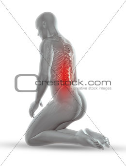 3D male medical figure with skeleton in kneeling position