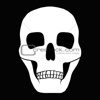 Illustration of a human skull.