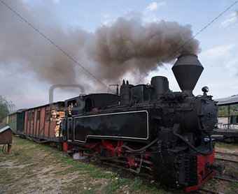 functional wood-burning locomotive