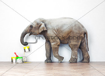 elephant with paint cans