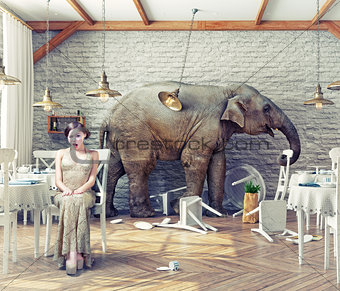  elephant calm in a restaurant
