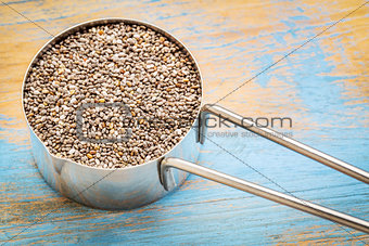 chia seeds in a metal scoop