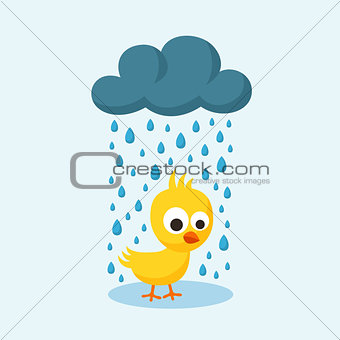 Sad Chick in the Rain on Friday the 13th.