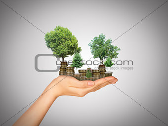 Humans hand holding tree and coins