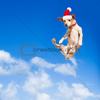 santa claus  jumping dog 
