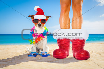 dog and owner as santa claus on christmas at the beach