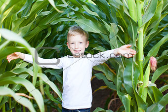 kid in corn maze