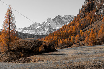Autumn colors at the Devero Alp